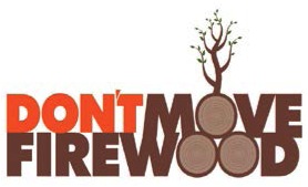 Don't Move Firewood