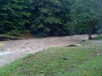 4:31PM 8/28/11, Pinney Hollow Brook, Route 100A, Where the bridge and garden were, by Jen&Jay Flaster
