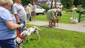 Blessing of the Animals