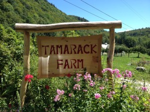 Tamarack Farm at Farm and Wilderness Camp