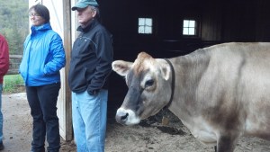 learning about the animals