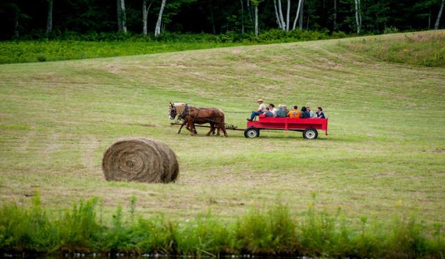 farmer_fred_plymouth