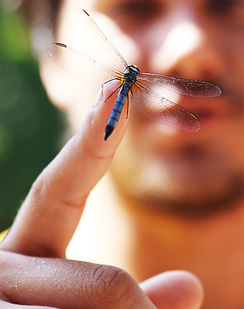 BAN-L-DRAGONFLY-0719-2-M