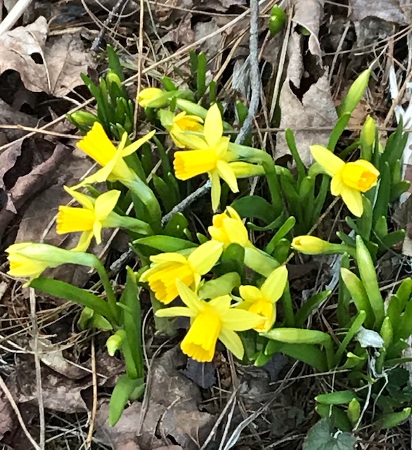 3A692817-27BE-425C-862C-8591386F4059