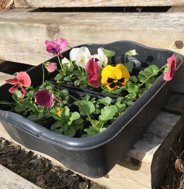 9159F317-E70E-41D6-938B-39B4B29E2B8F