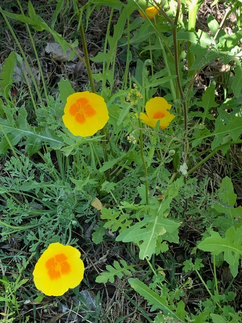 BC5683EF-4388-4308-A782-40EE8DF384E4