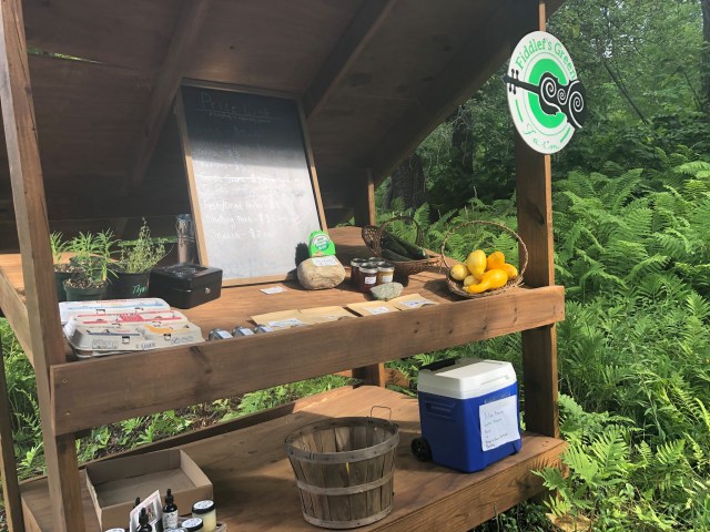 113552908_2675970112661773_2461410643966536356_o