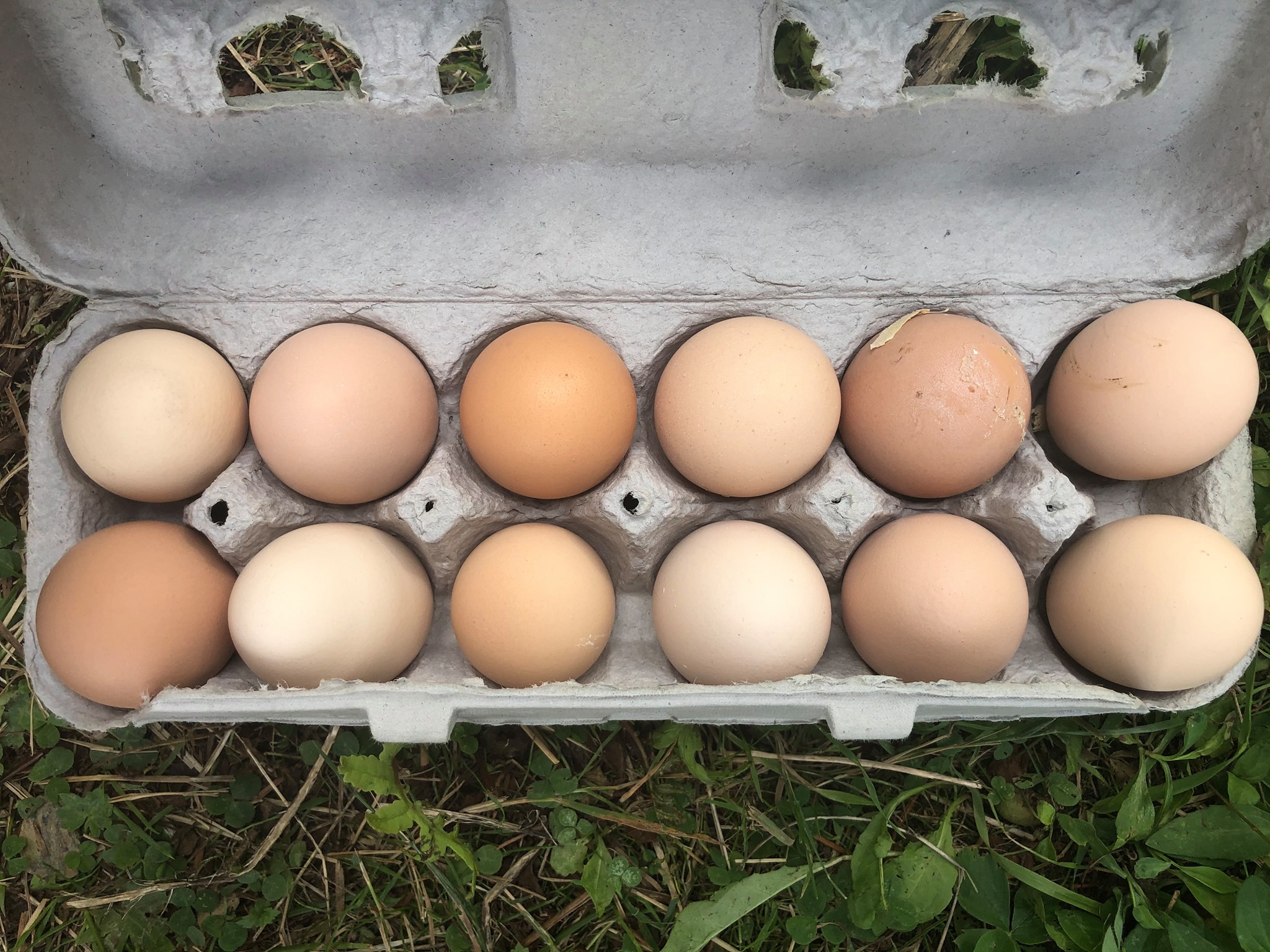 114320518_2675969862661798_6952217736041378295_o