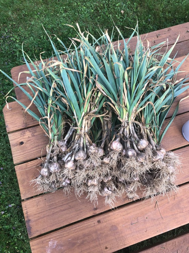 116380822_2675970195995098_9149869990271277618_o